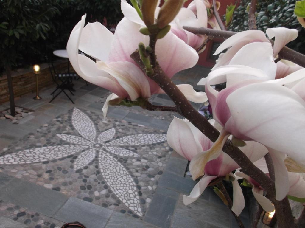 Boutique Hotel Kokkino Spiti Karaferye Dış mekan fotoğraf